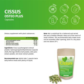Preview: Cissus Osteo Plus Kapseln Preview: wild yams extrakt