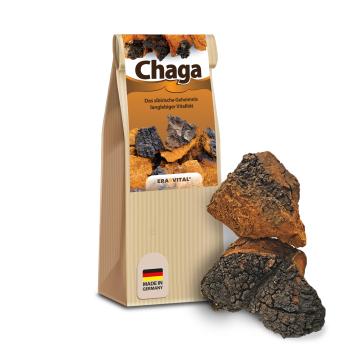 Chaga-Pilz - natur Brocken - Wildsammlung aus Sibirien
