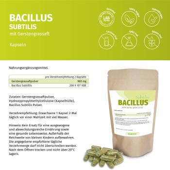 Bacillus Subtilis mit Gerstengrassaftpulver in einem Standbeutel, Kapseln