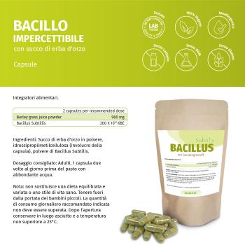 Bacillus Subtilis mit Gerstengrassaftpulver in einem Standbeutel, Kapseln