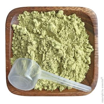 Preview: Fit & Vital Pulver - Kennenlernen-Aktion Preview: Fit & Vital Pulver - Kennenlernen-Aktion