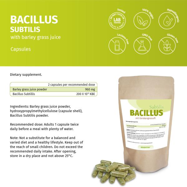 Bacillus Subtilis mit Gerstengrassaftpulver in einem Standbeutel, Kapseln